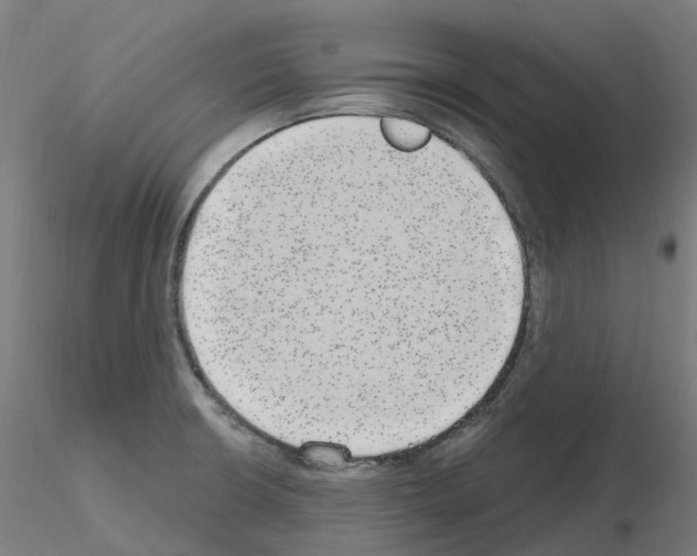 X0000115631426200912221240