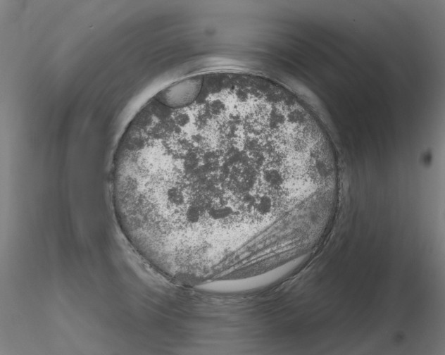 X0000115631427200912221240