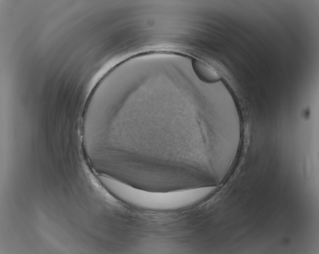 X0000115631428200912221240