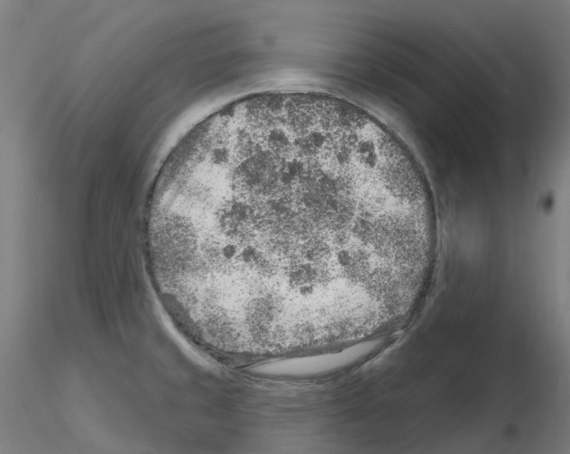 X0000115631429200912221240
