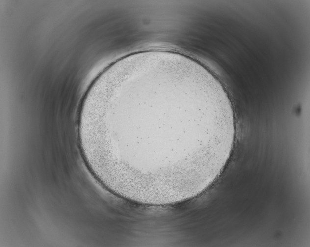 X0000115631430200912221240