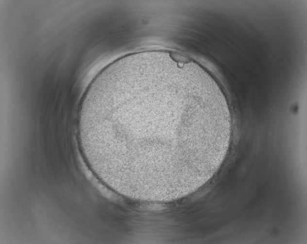 X0000115631431200912221240