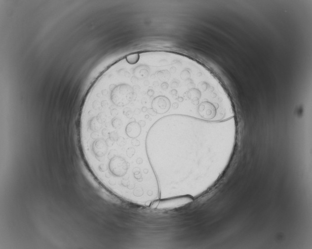 X0000115631432200912221240