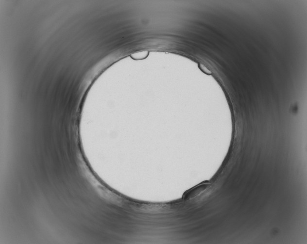 X0000115631434200912221240