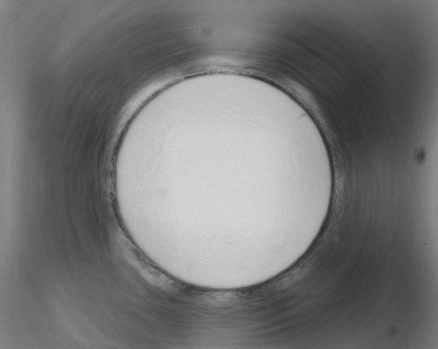 X0000115631435200912221240