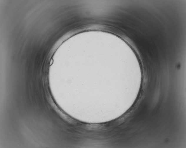 X0000115631437200912221240