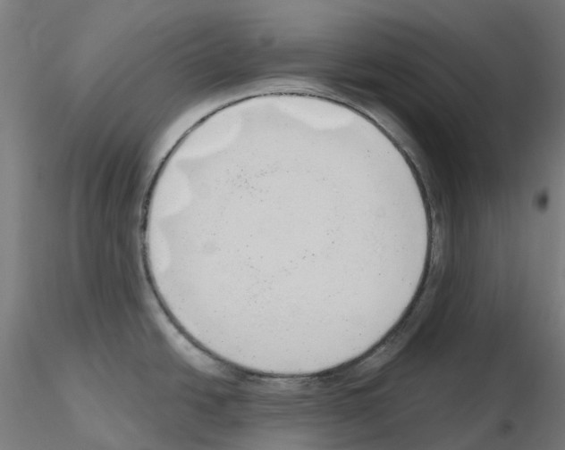 X0000115631438200912221240