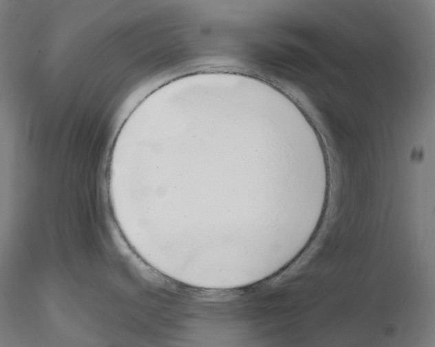 X0000115631440200912221240