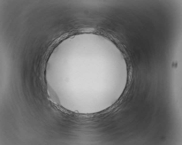 X0000115631441200912221239