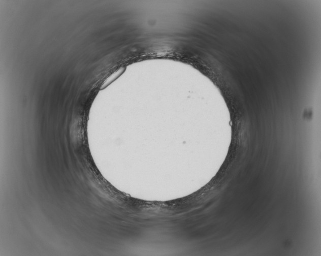 X0000115631442200912221239