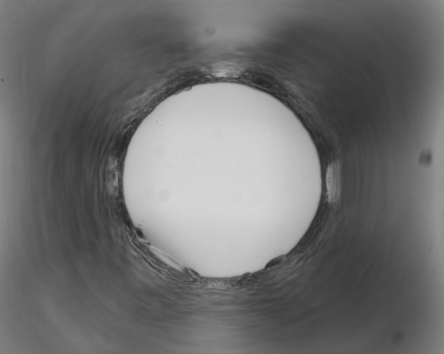 X0000115631443200912221239