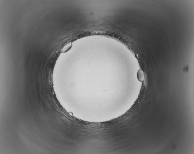 X0000115631444200912221239