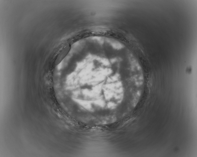 X0000115631445200912221239