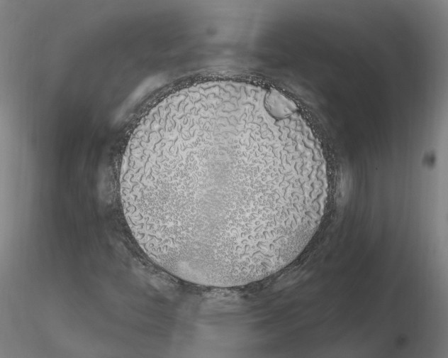 X0000115631446200912221239