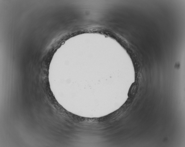 X0000115631447200912221239