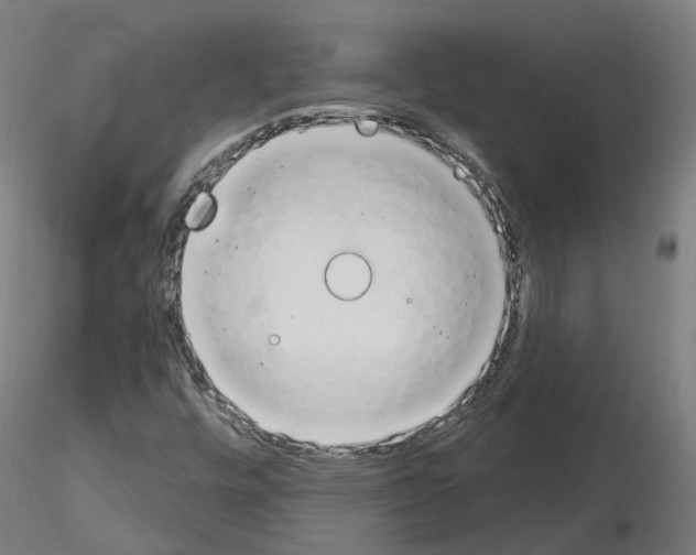 X0000115631448200912221239