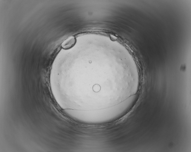 X0000115631449200912221239