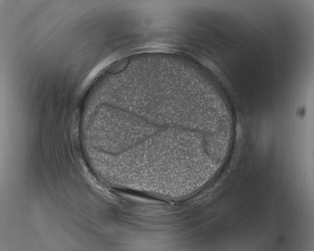 X0000115631450200912221239