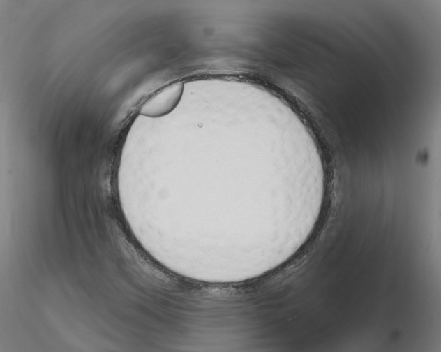 X0000115631451200912221239
