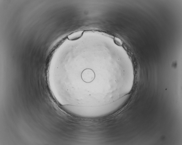X0000115631452200912221239