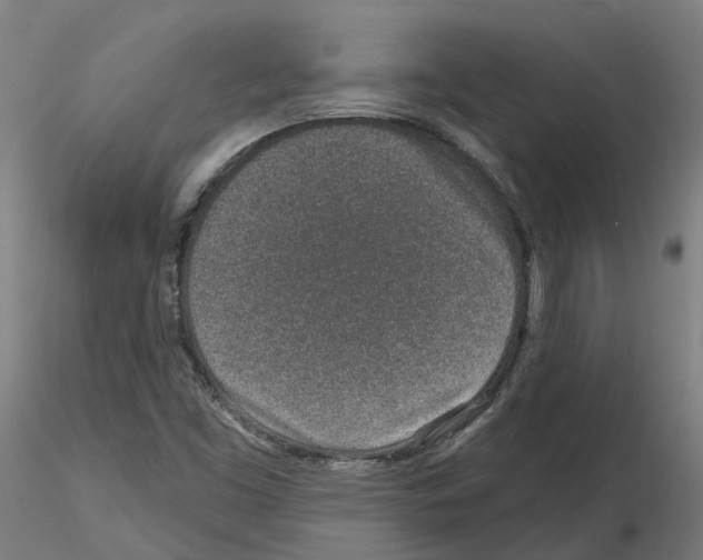 X0000115631453200912221239