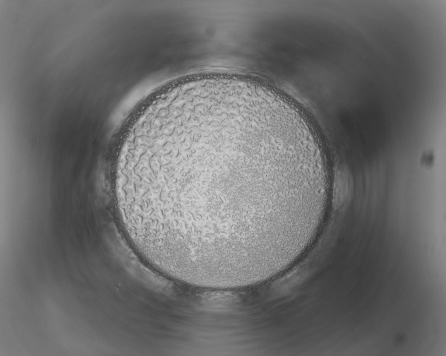 X0000115631454200912221239