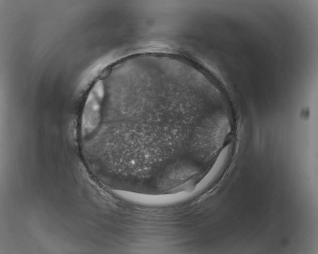 X0000115631455200912221239