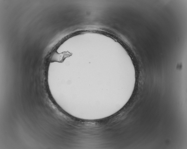 X0000115631456200912221239