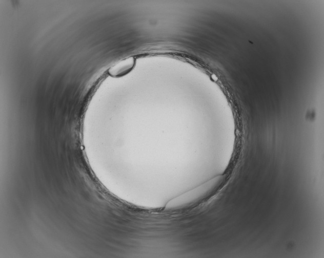X0000115631457200912221239