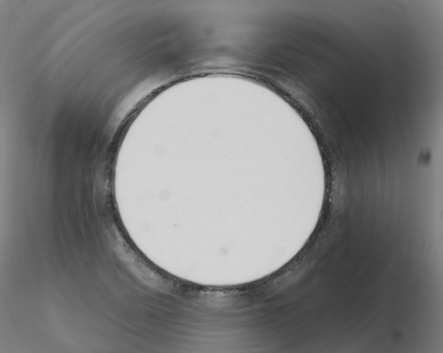 X0000115631458200912221239