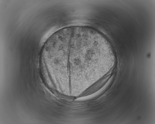 X0000115631459200912221239