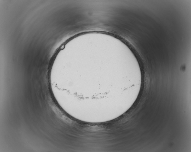 X0000115631460200912221239