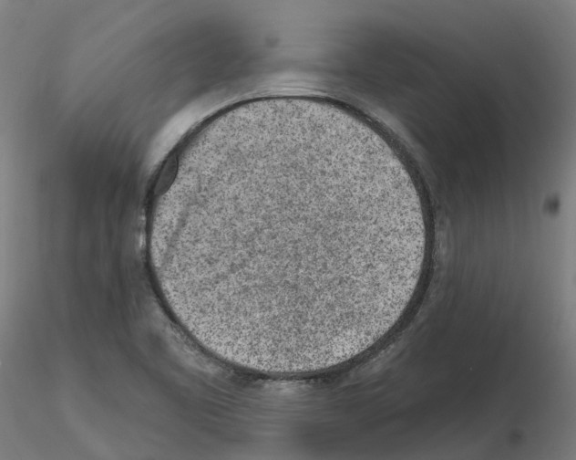 X0000115631461200912221239
