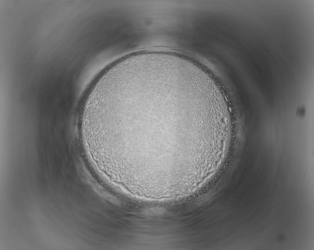 X0000115631462200912221239