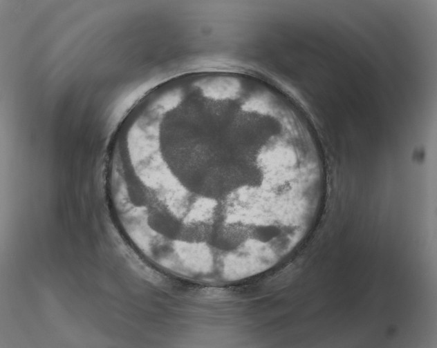 X0000115631463200912221239
