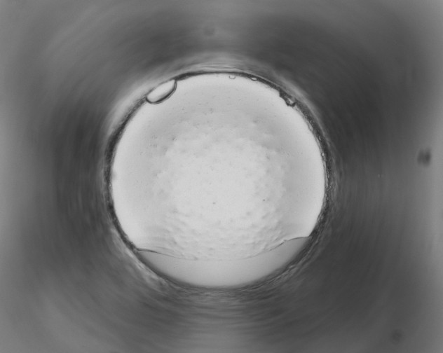 X0000115631464200912221239