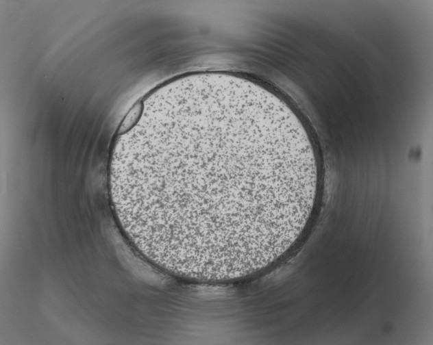 X0000115631465200912221239