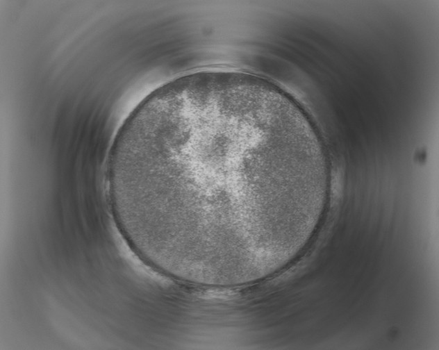 X0000115631466200912221239