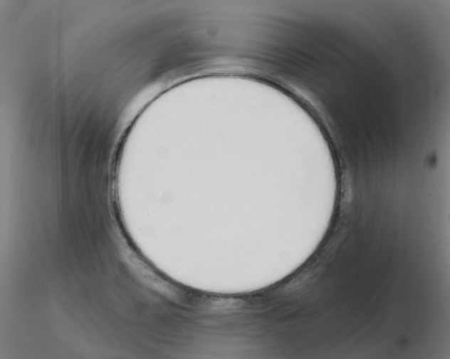 X0000115631467200912221239