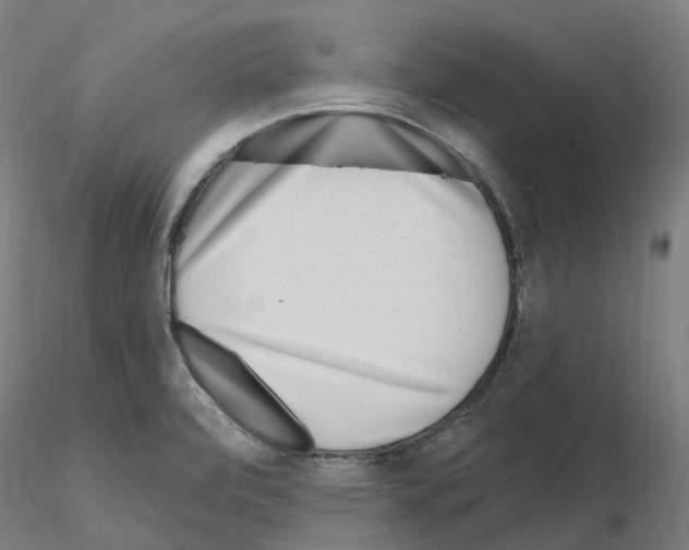 X0000115631472200912221239