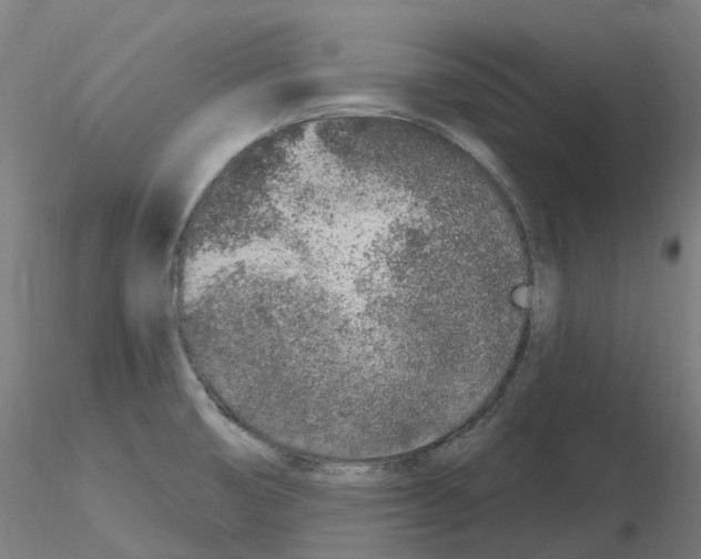 X0000115631474200912221239