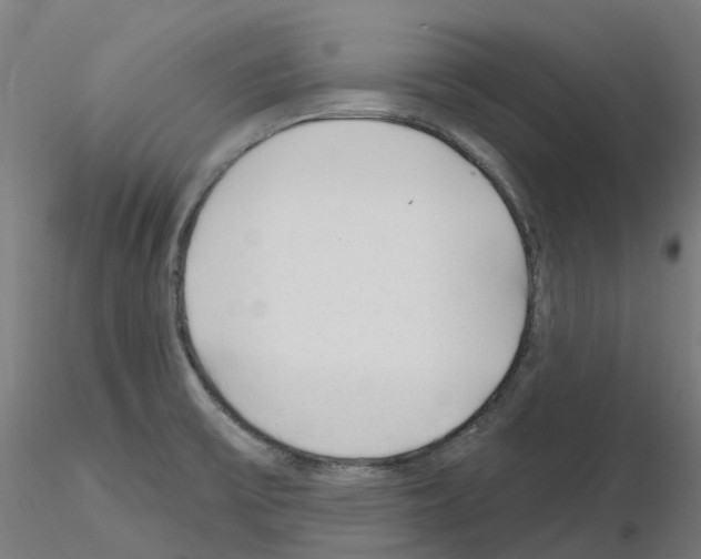 X0000115631475200912221239