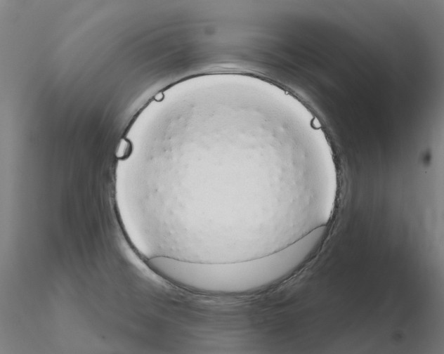 X0000115631476200912221239