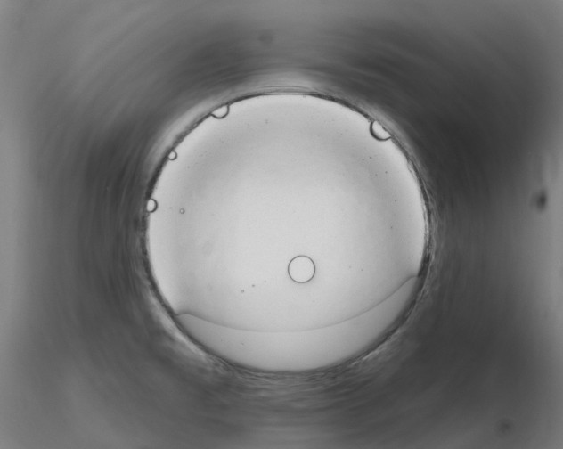 X0000115631477200912221239