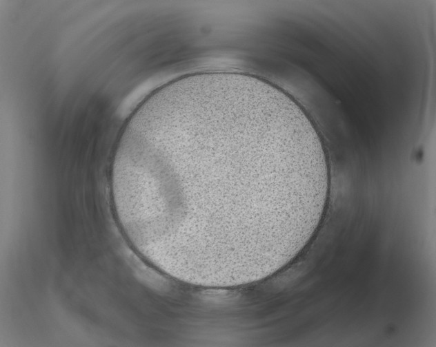 X0000115631478200912221239