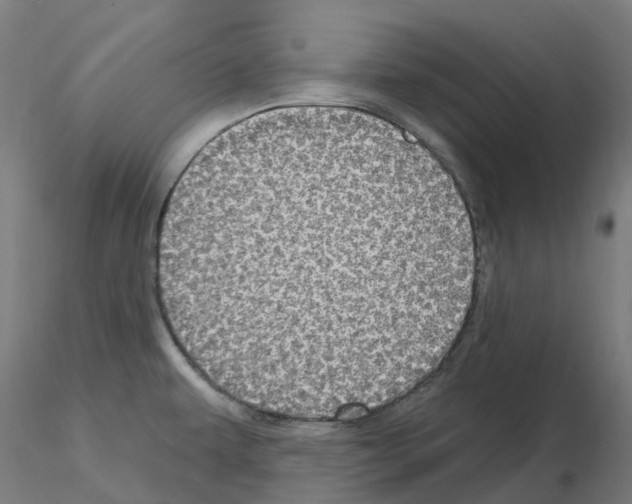 X0000115631479200912221239
