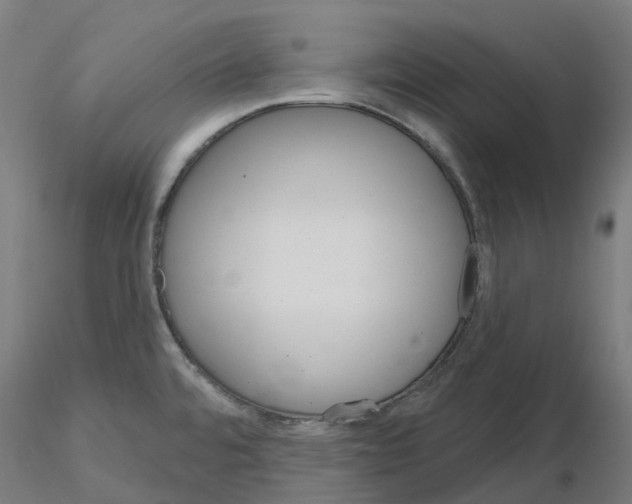 X0000115631480200912221239