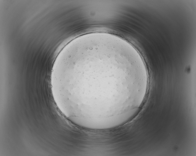 X0000115631481200912221239