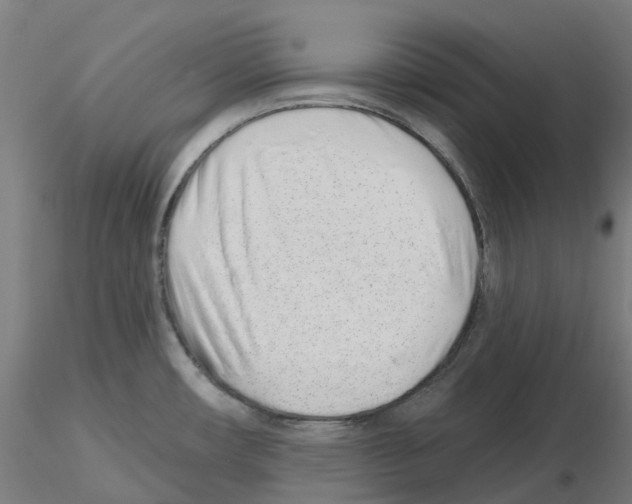 X0000115631482200912221239
