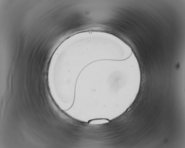X0000115631483200912221239